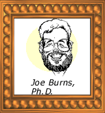 Joe Burns Ph.D.