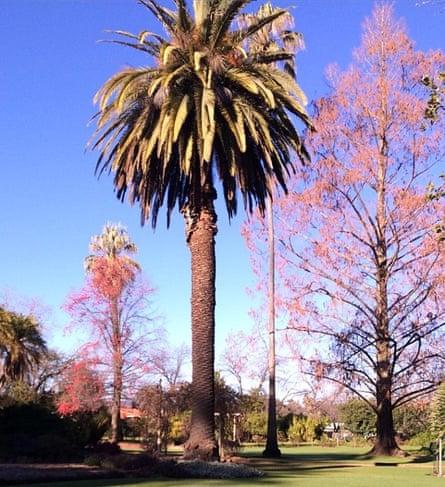 48 hours in Albury, NSW: what to do, where to go | New South Wales holidays