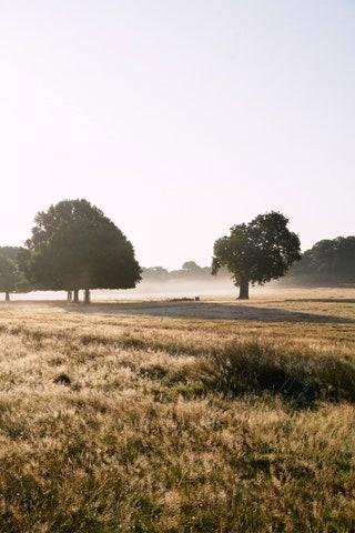 The best parks in London to explore